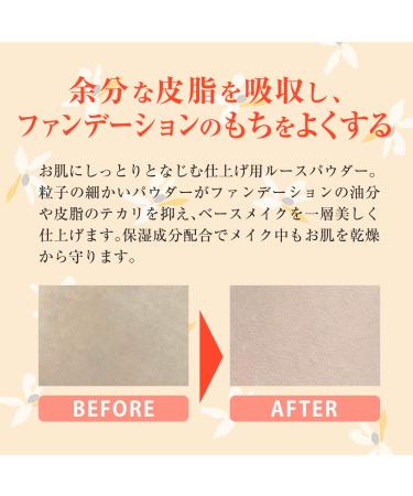 Naturactor Silky Lucent Powder (31) - Perfecting Finish for Flawless Skin - Buy Online on GoSupps.com