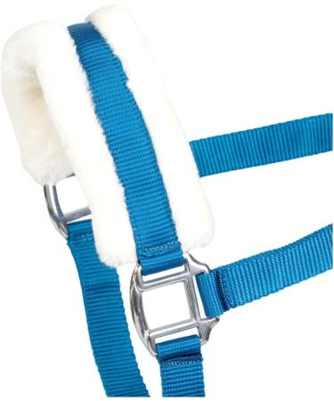 RL24 Halter with Plush Padding - BASICLINE | 6 Colors for Shetland Pony Thoroughbred & Warmblood - Turquoise Option Available - Buy Online on GoSupps.com
