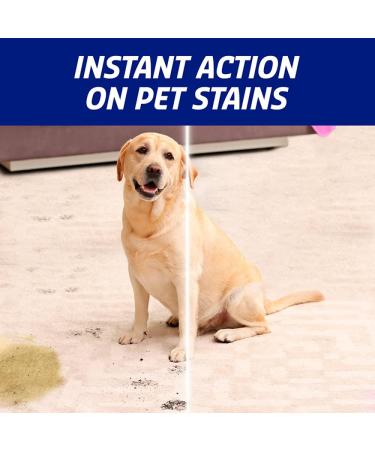 VANISH Pet Expert Oxi Action Spray 500ml | Stain & Odor Remover - Buy Online on GoSupps.com