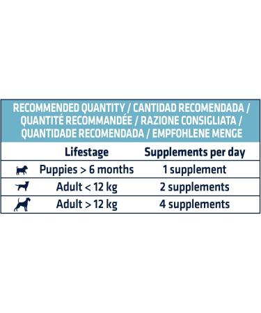 ADVANCE Gastroforte - Nutritional Supplement for Dogs - Box of 100 Particles of 5gr - Buy Online on GoSupps.com