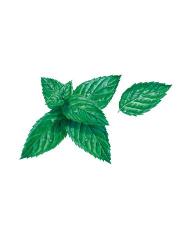 Ferrero Tic Tac Fresh Mint - Mint Flavored Dragees - 16 x 49g Packs (6 Pack) - Buy Online Worldwide - Buy Online on GoSupps.com