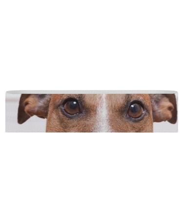 Cute Jack Russell Terrier Dogs Yoga Workout Bands Comfort Legs Booty Resistance Straps Physical Therapy Aids