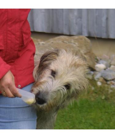 Buy Origin Outdoors Squeeze Tubes (200ml 2-Pack) - Ideal for Travel & Outdoor Activities | Fast International Shipping - Buy Online on GoSupps.com