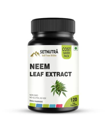 SETNUTRA Well From Within Pure Neem Leaf Extract 500Mg | Natural Detox Support Skin Health & Immune Support | Non GMO Gluten Free Vegan Capsules (120 Count)