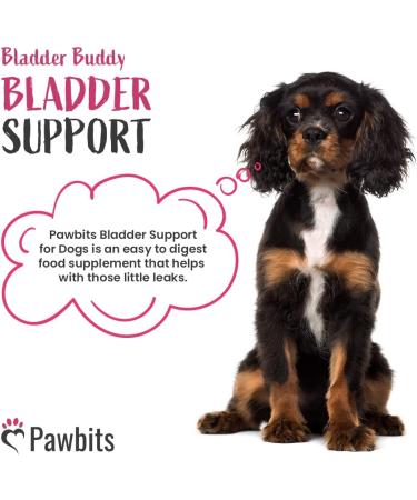 Pawbits 120 Bladder Buddy Support Tablets for Dogs - UTI Treatment with Cranberry & D-Mannose for Kidney & Urinary Health - Buy Online on GoSupps.com