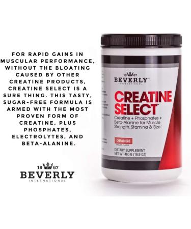 Beverly International Creatine Select - 40 Servings | Premium Creatine Monohydrate for Muscle Growth Endurance & Recovery | Tasty Tang Flavor | Buy Internationally - Buy Online on GoSupps.com