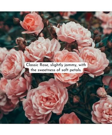 Herb & Root Rose Oil Rollerball (Roll On) Perfume 10 ml | Traditional English Tea Rose Perfume for Women Rose Perfume Oil - Buy Online on GoSupps.com