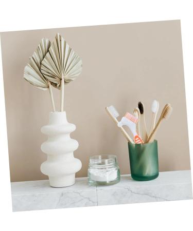 Angoily 8pcs Colored Rubber Denture Toothbrushes - Chemical Care for Effective Cleaning | International Shipping Available - Buy Online on GoSupps.com