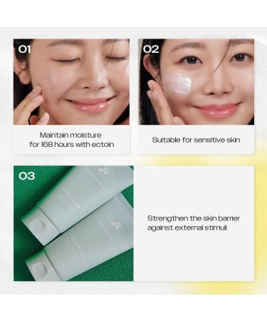 Papa Recipe Mild Derma Ectoin 1% Cream, Moisturizing and Hydrating Face Moisturizer for Dry and Sensitive Skin, Korean Skincare, 150ml 5.07fl oz - Buy Online on GoSupps.com