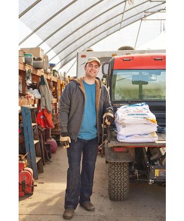 Dickies Men's Dri-Tech Moisture Control Max Crew Socks 12-15 6-Pack Black - Buy Online on GoSupps.com