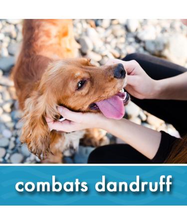 Oatmeal Aloe Vera Dog Shampoo for Dry Itchy Flaky Skin Gentle on Sensitive Skin & Hypoallergenic | Natural Soothing Anti Itch Anti Dandruff & Allergy Relief Dog Conditioner | Pikes Pouches (300ml) 300 ml (Pack of 1) - Buy Online on GoSupps.com