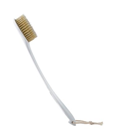 Back Brush Long Handle for Shower  Never Mold Back Brush Back Dcrubber for Shower Wet or Dry Brushing Shower Brush for Men & Women