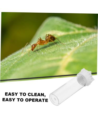 Yardwe Ants Water Dispenser & Irrigation Cup | Ant Feed & Holder Tools for Ant Nests | 10x3 cm - Buy Online on GoSupps.com