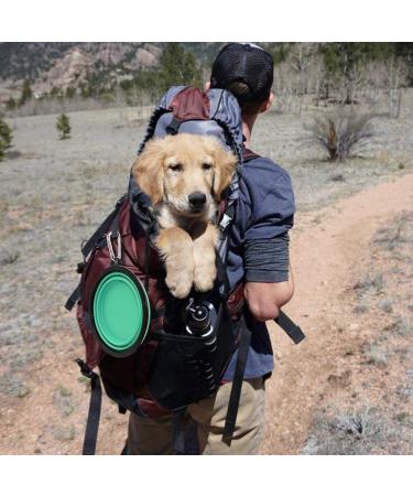 Large Collapsible Dog Bowls VIGIME 1000ml Travel Water Food Bowls Portable Foldable Collapse Dishes with Carabiner Clip for Traveling Hiking Walking 2 Pack (Light Blue + Light Green) Light Blue+light Green - Buy Online on GoSupps.com