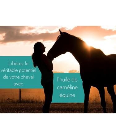 Ferme Olim ga Camelina Oil for Horses 4L Rich in Polyunsaturated Omega-3 Vitamin E Pure and Cold Pressed. - Buy Online on GoSupps.com