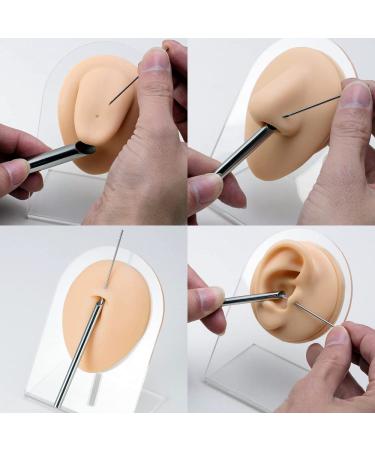 316L Surgical Stainless Steel 2G Receiving Tubes for Piercing Needles - Ear, Nose, Septum, Belly, Cartilage Piercing Tool (6mm) - Buy Online on GoSupps.com