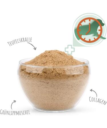 AniForte Gelenk-VETAL 3 Joint Powder for Dogs 250g - Natural Product Based on Green-lipped Mussel Powder Collagen & Devil's Claw Root Joints & Movement - Buy Online on GoSupps.com