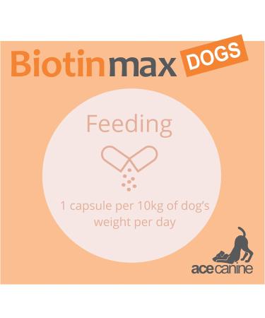 BiotinMax Vitamin Supplement for Dogs Coat & Skin Care Strongest Clinical Strength Biotin 5000 g 100 Capsules - Buy Online on GoSupps.com