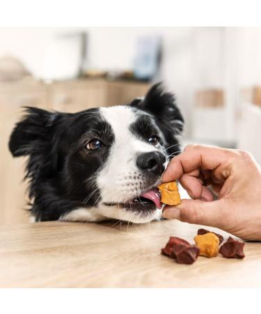 8in1 Flavours Skewer Bites - High-Protein Dog Treats with Chicken Duck & Liver | 100g Bag - International Shipping Available - Buy Online on GoSupps.com