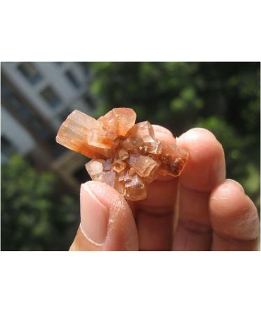 Natural Rare Aragonite Quartz Crystal Cluster Shape Rough Stone Nepheline Home Decor Gifts Beautiful Natural Luster (Size : 10pcs) - Buy Online on GoSupps.com