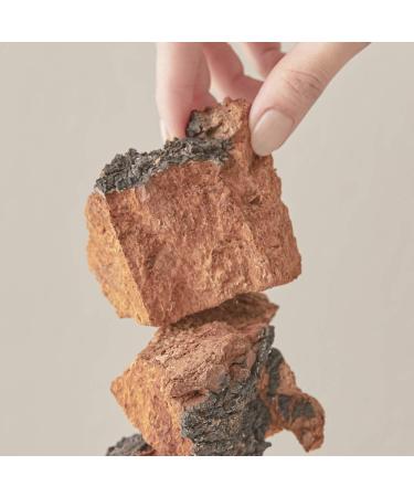 Blithe Pressed Serum Tundra Chaga 1.68 fl oz - Hydrating Anti-Aging Skincare - Buy Online on GoSupps.com