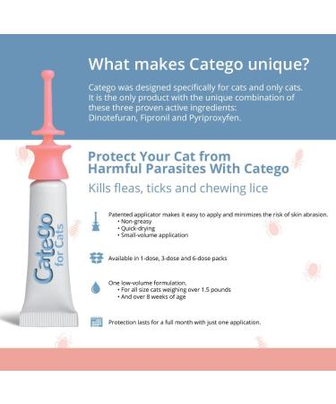 Catego Fast-Acting Flea and Tick Treatment for Cats | Kills Fleas in 6 Hours | Prevents Re-Infestations - Buy Online on GoSupps.com