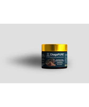 ChagaPURE Extract Powder - Buy Online on GoSupps.com