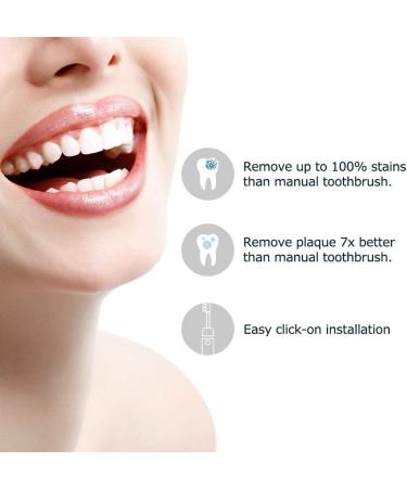 Buy Mornwel D01 Replacement Brush Heads - Dental Care Tools D903/D904 (Black) - International Shipping Available - Buy Online on GoSupps.com