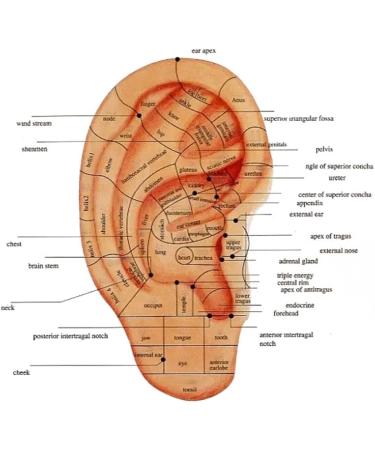 Buy Ear Point Detector - Automatic Ear Detection Pen for Acupressure Relief | International Shipping - Buy Online on GoSupps.com