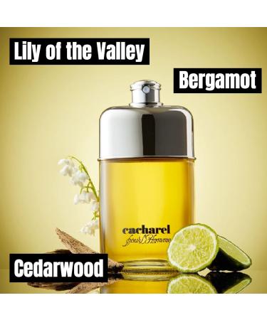 Cacharel Pour Homme Eau de Toilette for Men Woody Spicy With Notes of Bergamot & Cedarwood 3.4 Fl. Oz. - Buy Online on GoSupps.com