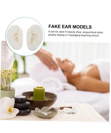 Didiseaon 1 Pair Silicone Fake Ear Model Display for Studs Human Ear Simulation Model Smooth Texture - Buy Online on GoSupps.com