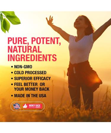 Folic Acid Drops - Liquid Vitamin B9 Supplement for Blood Cells, Brain Function, and Liver Support - Pregnancy Safe, Alcohol-Free, Gluten-Free - 1 Fl Oz - Buy Online on GoSupps.com