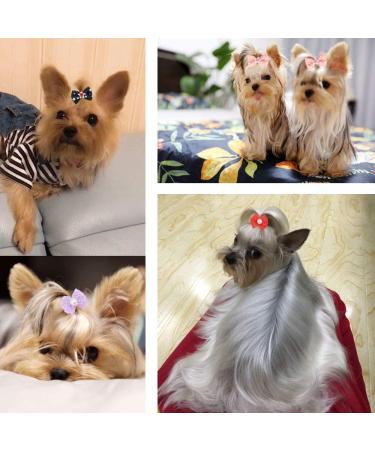 Comsmart 60Pcs Dog Bows - 30 Pairs Yorkie Puppy Hair Bows with Rhinestone Pearls & Lace Fabric - Cute Small Dog Grooming Accessories - Buy Online on GoSupps.com