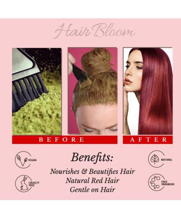 Pride of India Henna Hair Powder with Himalayan Herbs - 240g (8.5oz) | Natural Hair Color & Care - Buy Online on GoSupps.com