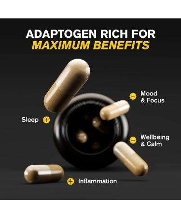 Organic Ashwagandha Capsules - Mood & Stress Relief Supplement with Valerian Root & Artichoke Leaf - KSM 66 Ashwagandha - Buy Online on GoSupps.com