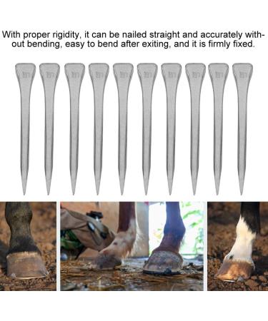 Wnvivi 250pcs Steel Horseshoe Nails - E5 Steel Hoof Nail Tools for Equestrian & Horse Training | International Shipping Available - Buy Online on GoSupps.com