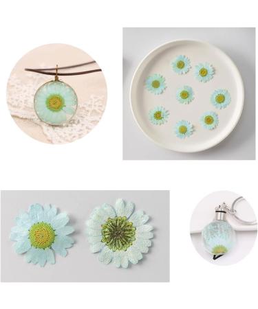 50pcs Natural Dried Daisy Flowers - Vacuum Packed for Decoration & Jewelry Making (5 Colors) - Buy Online on GoSupps.com