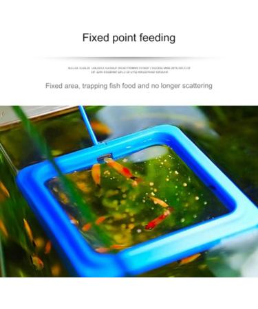 Misamo Feeding Ring Floating Food Feeder Circle with Suction Cup Easy to Install Aquarium Black - Buy Online on GoSupps.com