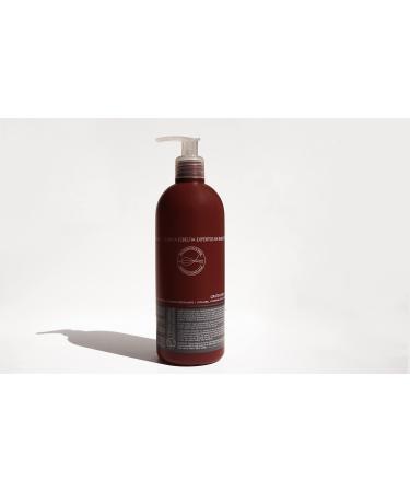 DR.FCO RUIZ Shampooing anti-chute | Nourrit et r pare les cheveux greff s ou affaiblis | pour la croissance et la sant des cheveux | renforce et nourrit votre crini re | 400 ml