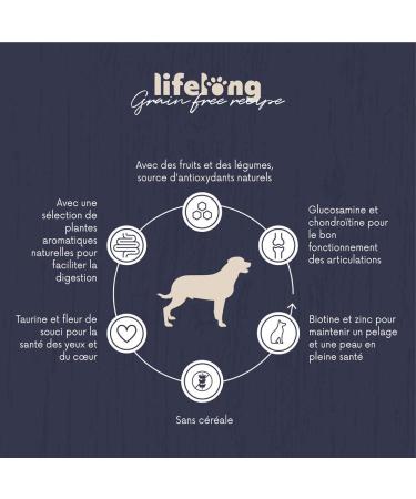 Amazon Brand - Lifelong Complete food for medium and large breed dogs without cereals made with fresh chicken meat - 5kg*2 - Buy Online on GoSupps.com
