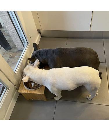 FOREYY Bamboo Raised Pet Bowls for Cats & Small Dogs 2 Stainless Steel Bowls, Anti-Slip Stand, 4'' Tall - Buy Online on GoSupps.com
