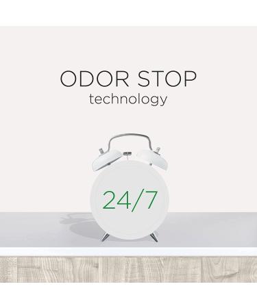 Air Wick Pure Freshmatic 2 Refills Pumpkin Spice Fall Scent, 5.89oz, Pack of 2 - Air Freshener with Essential Oils for Odor Neutralization - Buy Online on GoSupps.com