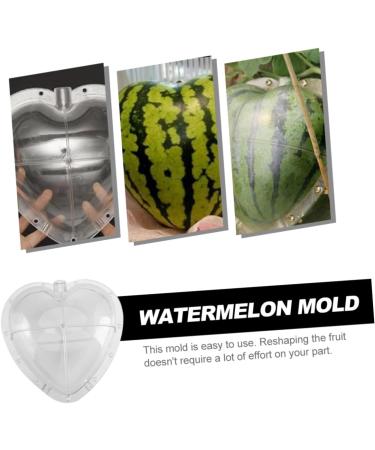 OSALADI Square Tool Strawberry Tool Garden Shaping Molds Fruit Shaping Molds Tool Vegetable Heart-Shaped 17x17cm Transparent - Buy Online on GoSupps.com