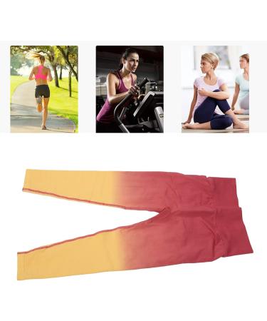 Hip Lifting Pants High Waist L Size Stretchy Hip Lifting Legging for Cycling - Buy Online on GoSupps.com