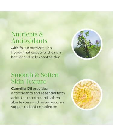 Tata Harper Nourishing Oil Cleanser 125ml - Multi-Vitamin Makeup Remover, 100% Natural - Buy Online on GoSupps.com