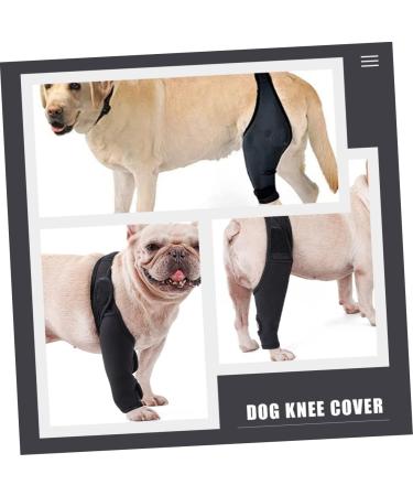 DOITOOL Paw Knee Knee Pads Dog Leg Brace Dog Back Dog Injured Leg Cover Front Legs Rear Bracket Puppy M 1 - Buy Online on GoSupps.com
