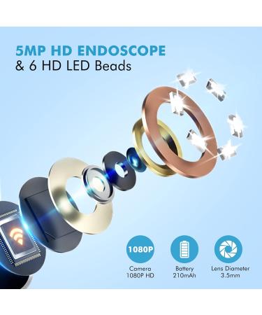 1080P FHD Ear Wax Removal Kit Camera with Anti-Fall Off Eartips - Wireless Ear Cleaner Otoscope for iPhone, iPad, Android - 6 LED Lights - Suitable for Adults, Kids, and Pets - Buy Online on GoSupps.com