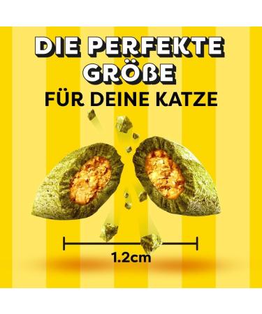 Dreamies Cat Snacks with Catnip - Creamy & Crispy Treats 6x60g | International Shipping Available - Buy Online on GoSupps.com