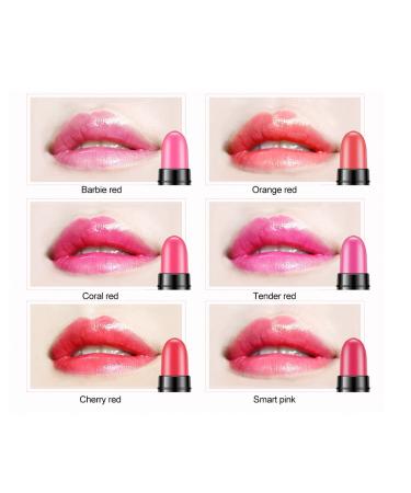 ANGGREK Lipstick - Moisturizing Waterproof Matte Lipgloss | Long Lasting 12 Colors - International Shipping Available - Buy Online on GoSupps.com