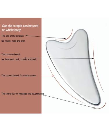 Stainless Steel Mini Face Roller and Gua Sha Set for Wrinkles - Anti Aging Facial Massager - Authentic, Durable, Noiseless Design - Buy Online on GoSupps.com